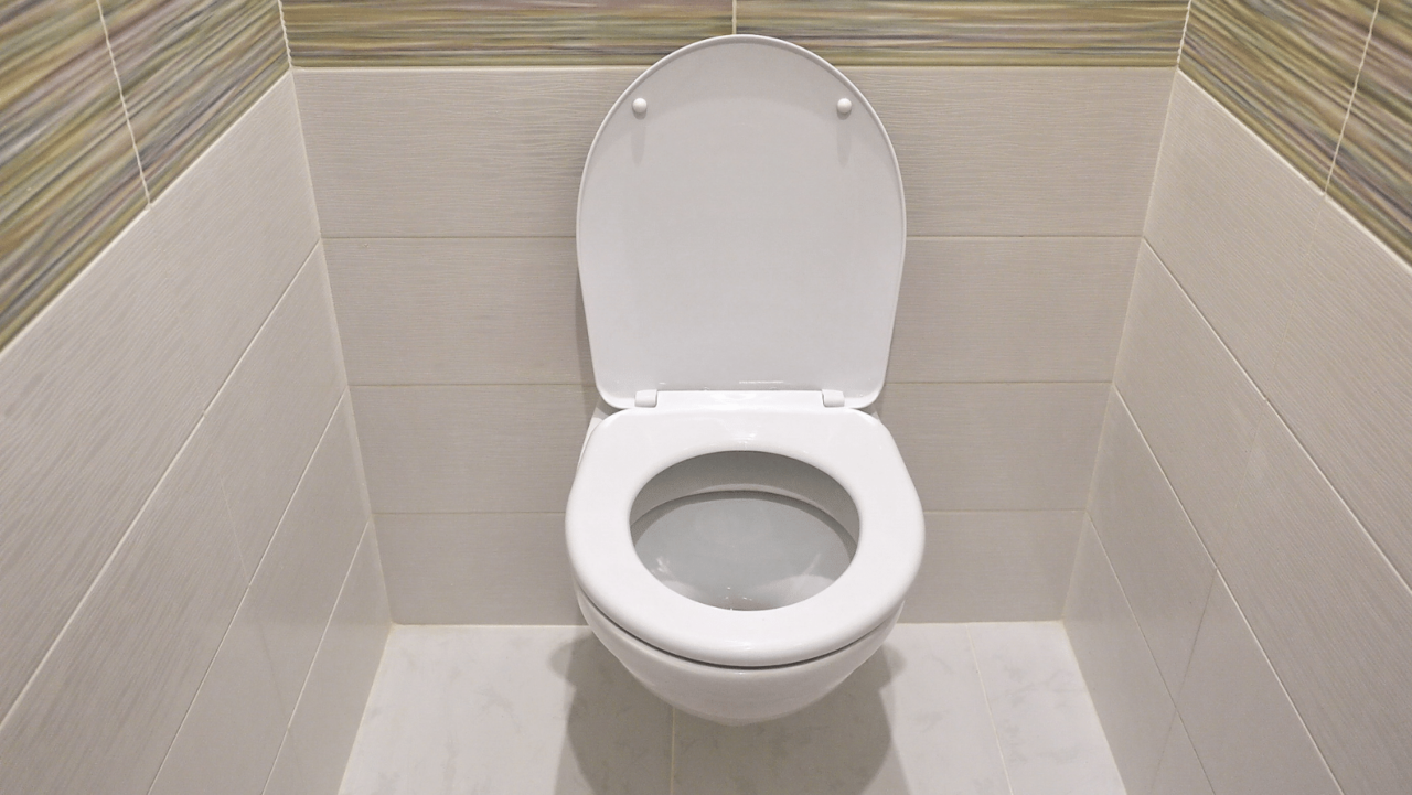 Essential Toilet Maintenance for a Pristine Bathroom